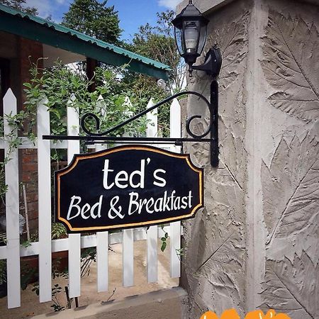 Ted'S Bed And Breakfast Santa Cruz  Kültér fotó