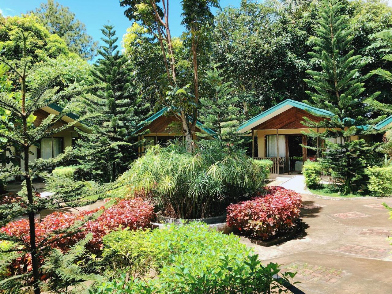 Ted'S Bed And Breakfast Santa Cruz  Kültér fotó